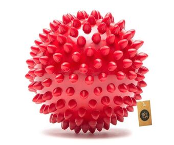 Rubber Spiked Ball Dog Chew Toy